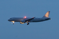YL-LCT